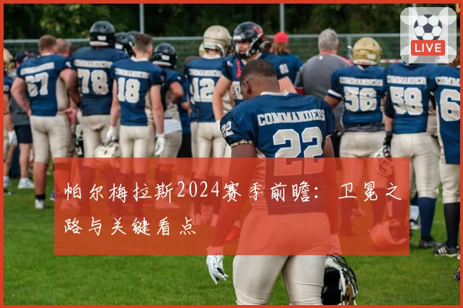 帕尔梅拉斯2024赛季前瞻：卫冕之路与关键看点