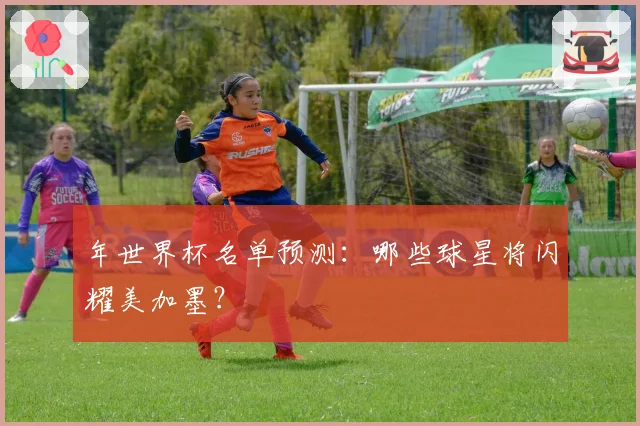 年世界杯名单预测：哪些球星将闪耀美加墨？