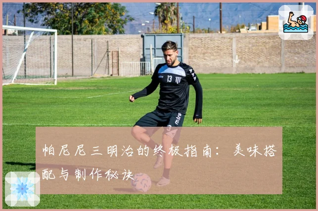帕尼尼三明治的终极指南：美味搭配与制作秘诀